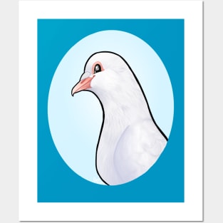 Marshmallow Floof, AKA King Pigeon Posters and Art